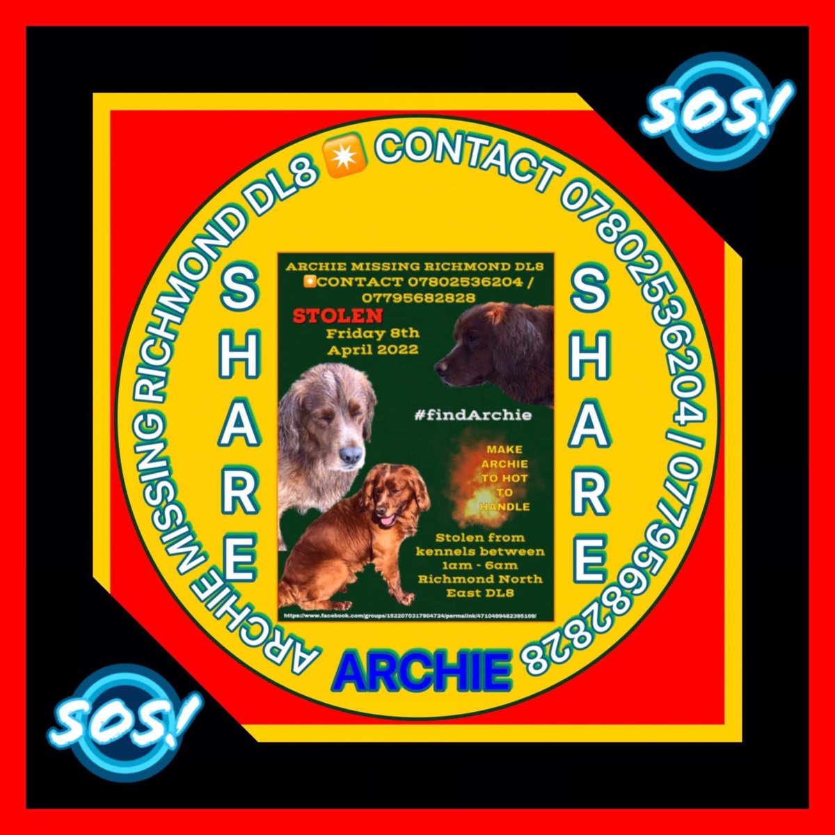 Archie was stolen from his home on 8/4/22 Please care and share to bring him safely back home to his loving family 🙏🏻🐾 #findArchie #stolen DL8 area but could be anywhere 😔💔 <a href="/rosiedoc666/">Rosie Doc</a> <a href="/MissingPetsGB/">Missing Pets GB</a> <a href="/HunnyJax/">#BePETTHEFTaware</a> <a href="/gelert01/">GG01</a> <a href="/AlanDaffern/">John David Alan Daffern and Davey d...all grown up</a> @DogsofTooting