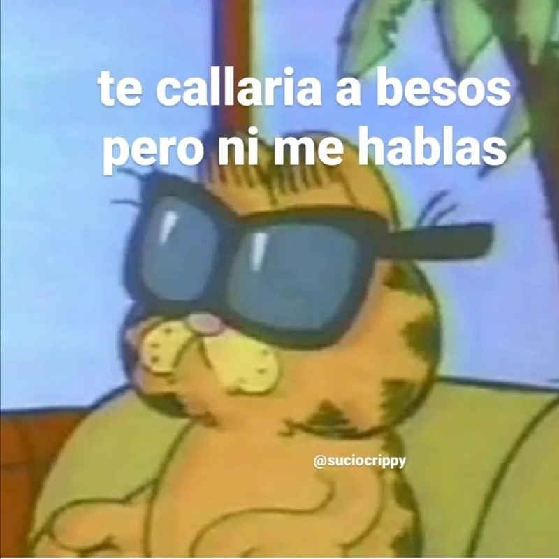 El Guarromántico (@guarromantico_) on Twitter photo 