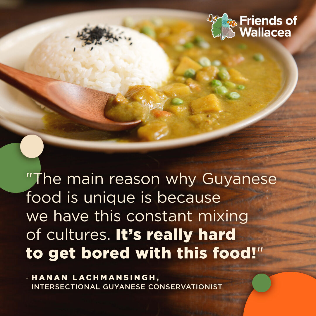 WallaceaFriends's tweet photo. Hanan, @hananabananasplit, used to be an intern with us at Friends of Wallacea and as a Guyanese citizen, we knew she would be the best person to tell us about Guyanese food! 🤩 https://t.co/75i41AKPGI