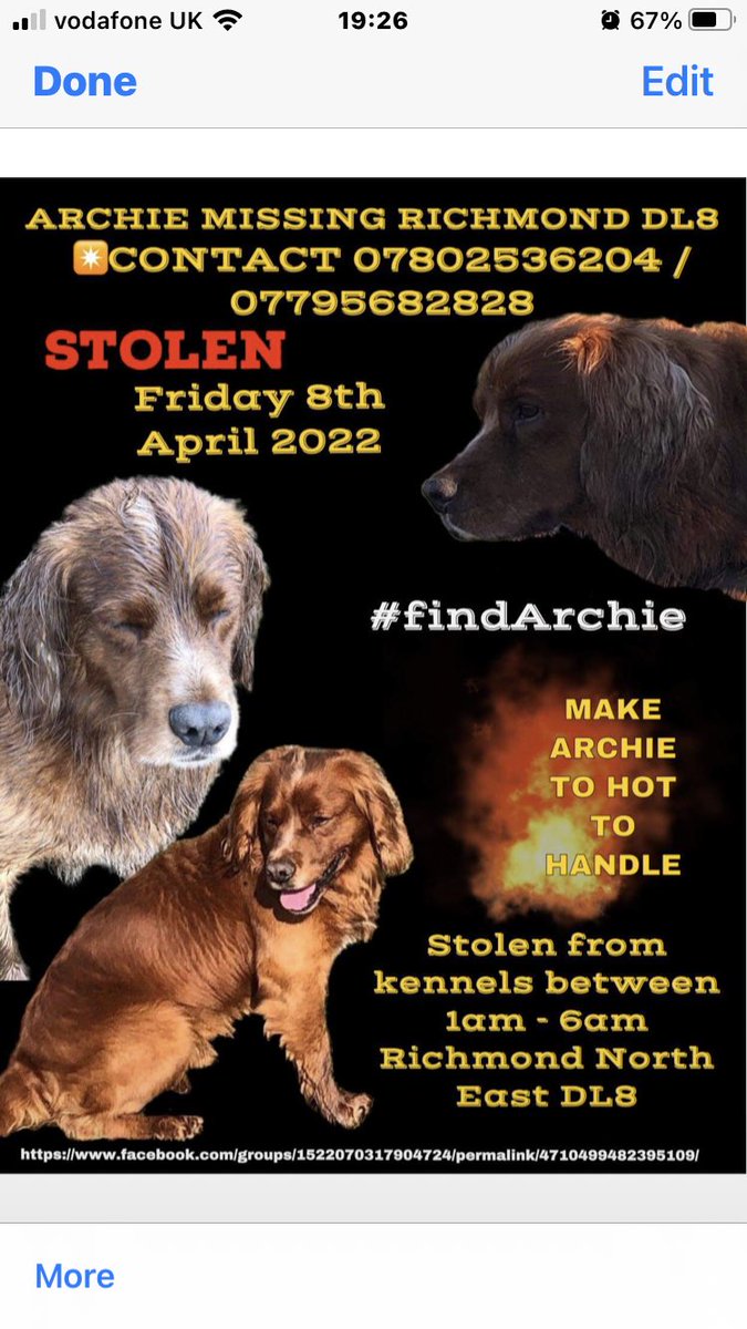 #findArchie