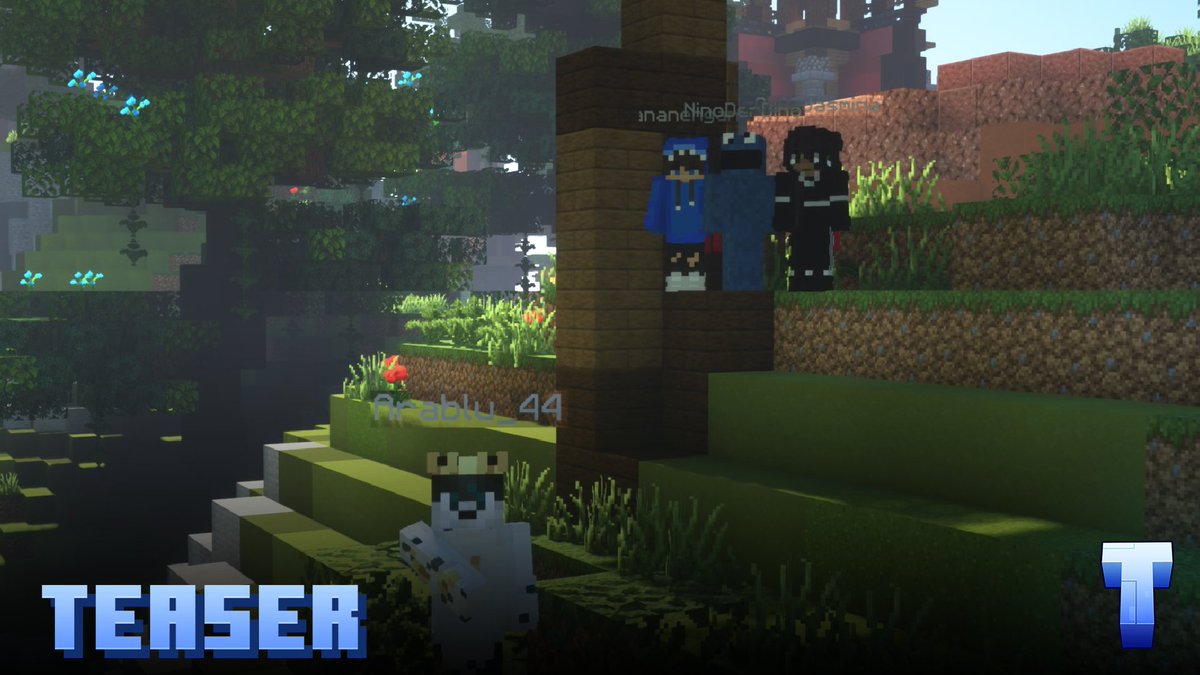 TariaMC Netzwerk tweet media