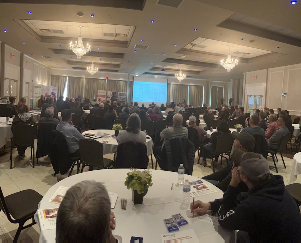 Shakespeare Mills Inc tweet media