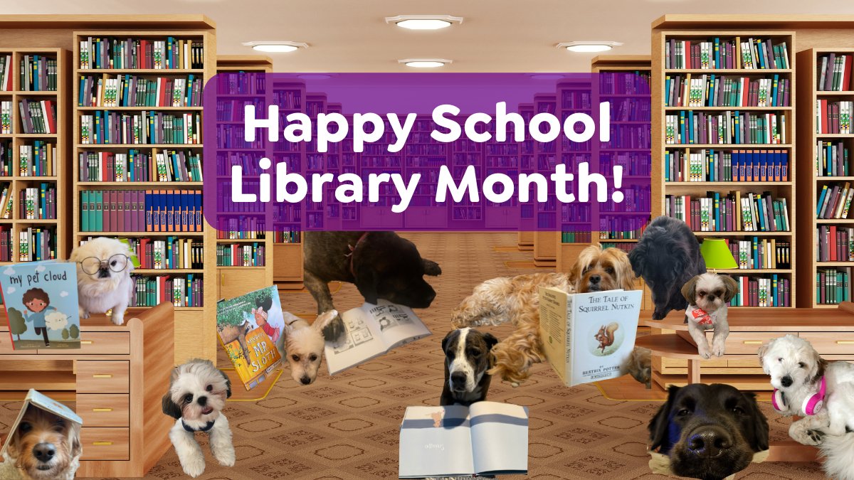 Capstone 📚 tweet media