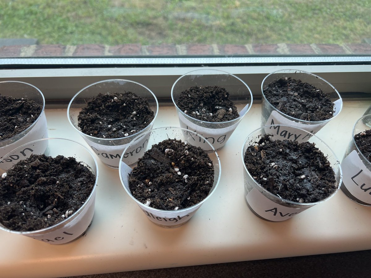 We are beginning our plant unit and hoping these kiddos have a greener thumb than Mrs. Mason! 🪴 🌱 @FultondaleElem @JEFCOED