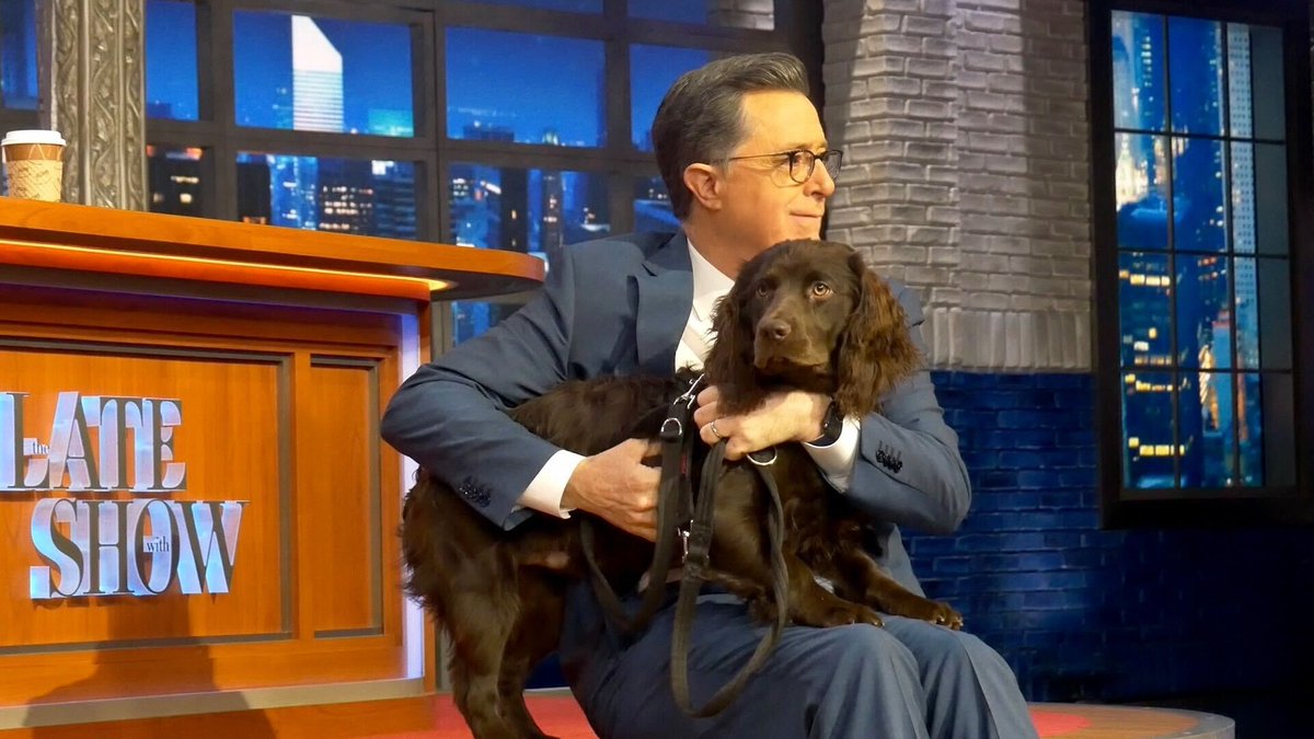 colbertlateshow's tweet photo. Happy #NationalPetDay from @StephenAtHome and Benny! Reply to this tweet with a picture of you and your pet! #LSSC https://t.co/jKRKuC5Nsm