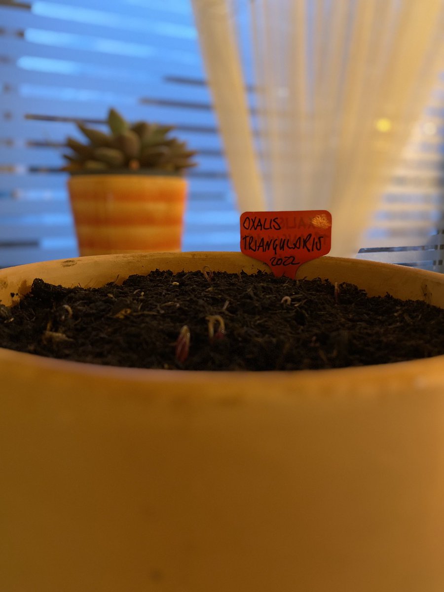 Barry A-D 🇬🇧 🏳️‍🌈 💙 tweet media