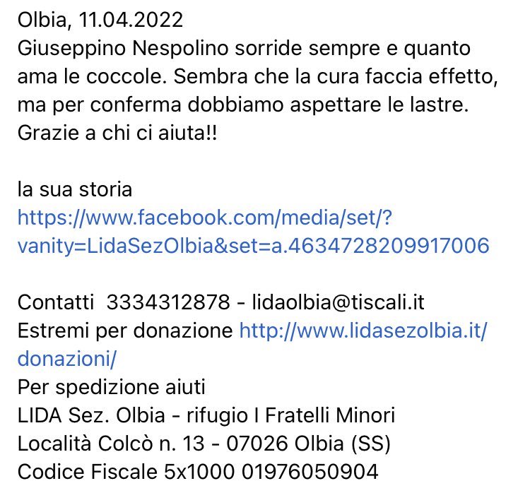 #Giuseppino #Nespolino sorride sempre e quanto ama le coccole. Sembra che la cura faccia effetto, ma per conferma dobbiamo aspettare le lastre. Grazie a chi ci aiuta!! facebook.com/media/set/?van… lidasezolbia.it/donazioni/