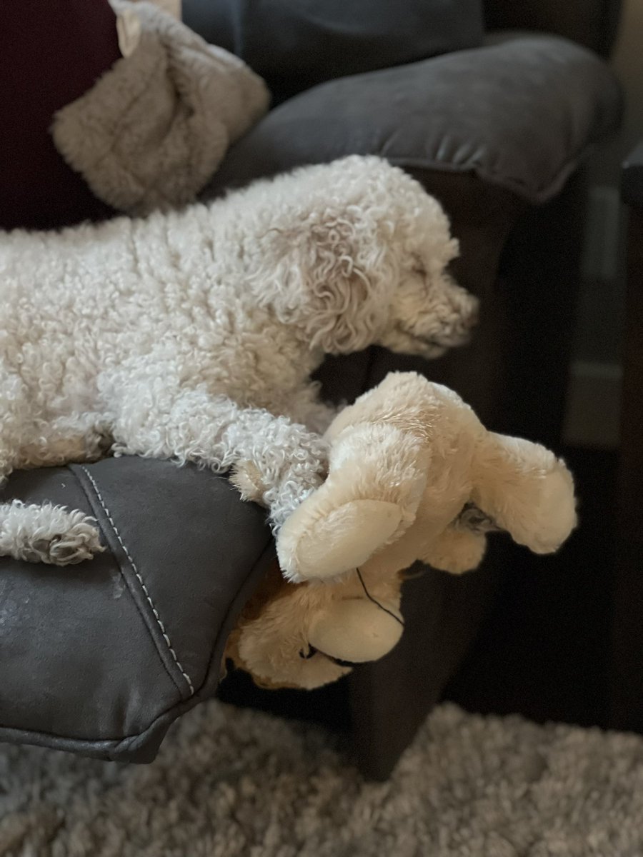 CompsonLee's tweet photo. @UberFacts Loves his teddy bear 🧸 https://t.co/AS34c4dlFD