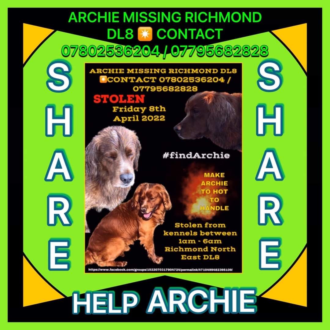 LisaLisaw1's tweet photo. #FindArchie https://t.co/CIl23Xh2Yd