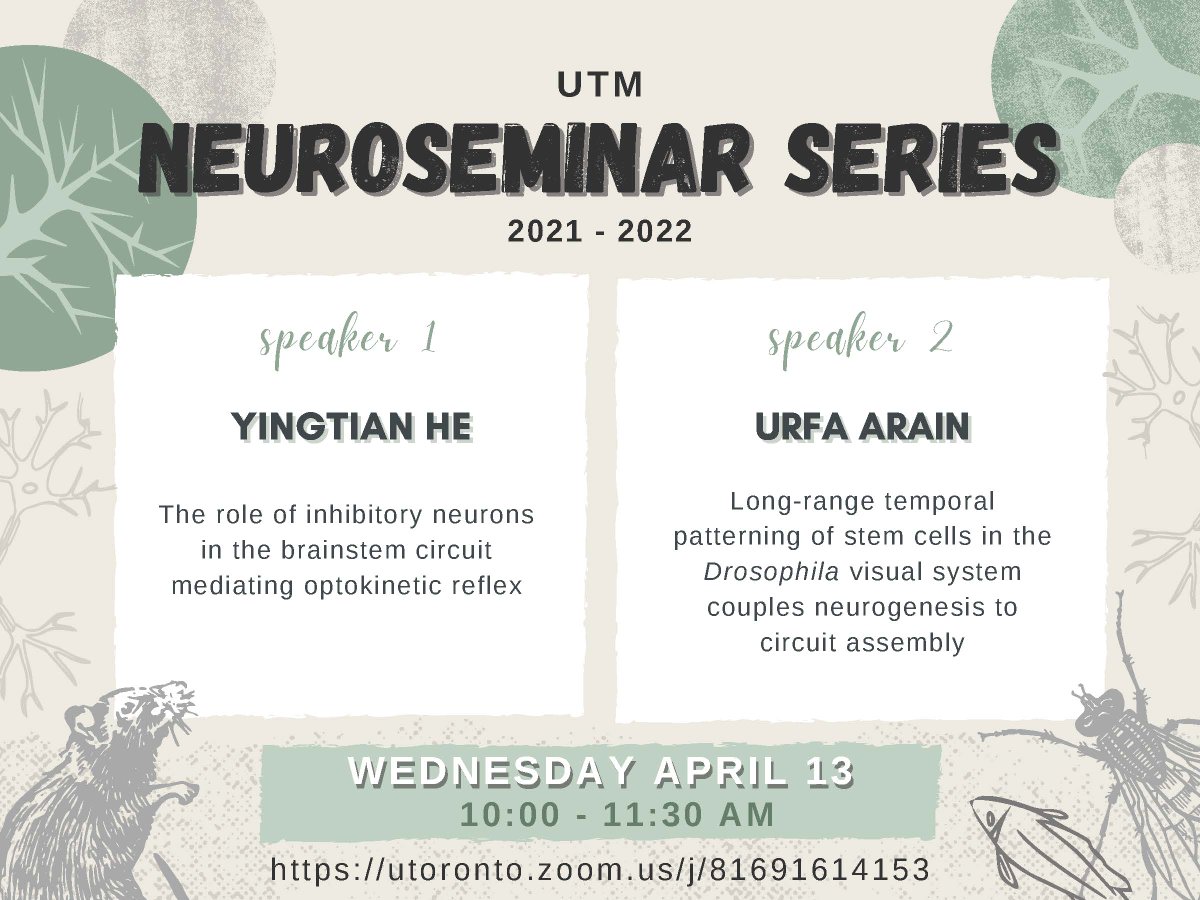 UTMBiology's tweet photo. #NeuroSeminar Series is back, Apr 13, from 10am
Join via #zoom
Yintian He, from #LiuLab
and @spiral_science from @ercliklab
https://t.co/ChytTTvjhg https://t.co/PE52ZcwJJi