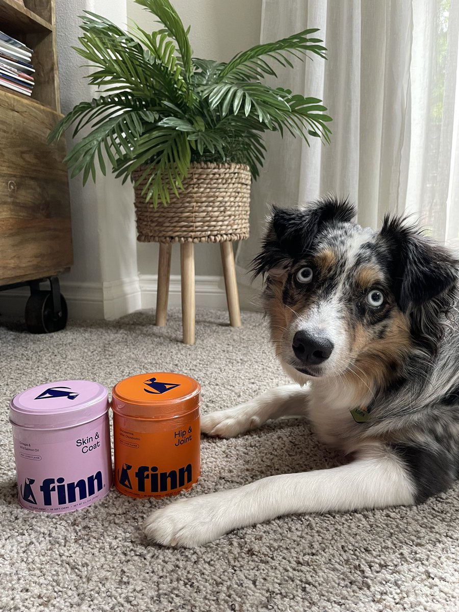 thenorthaussie's tweet photo. Obsessed with my @petfinn supplements! #friendsoffinn 

Use code "northaussie" for 10% off your next purchase! https://t.co/sViZjU8oMj