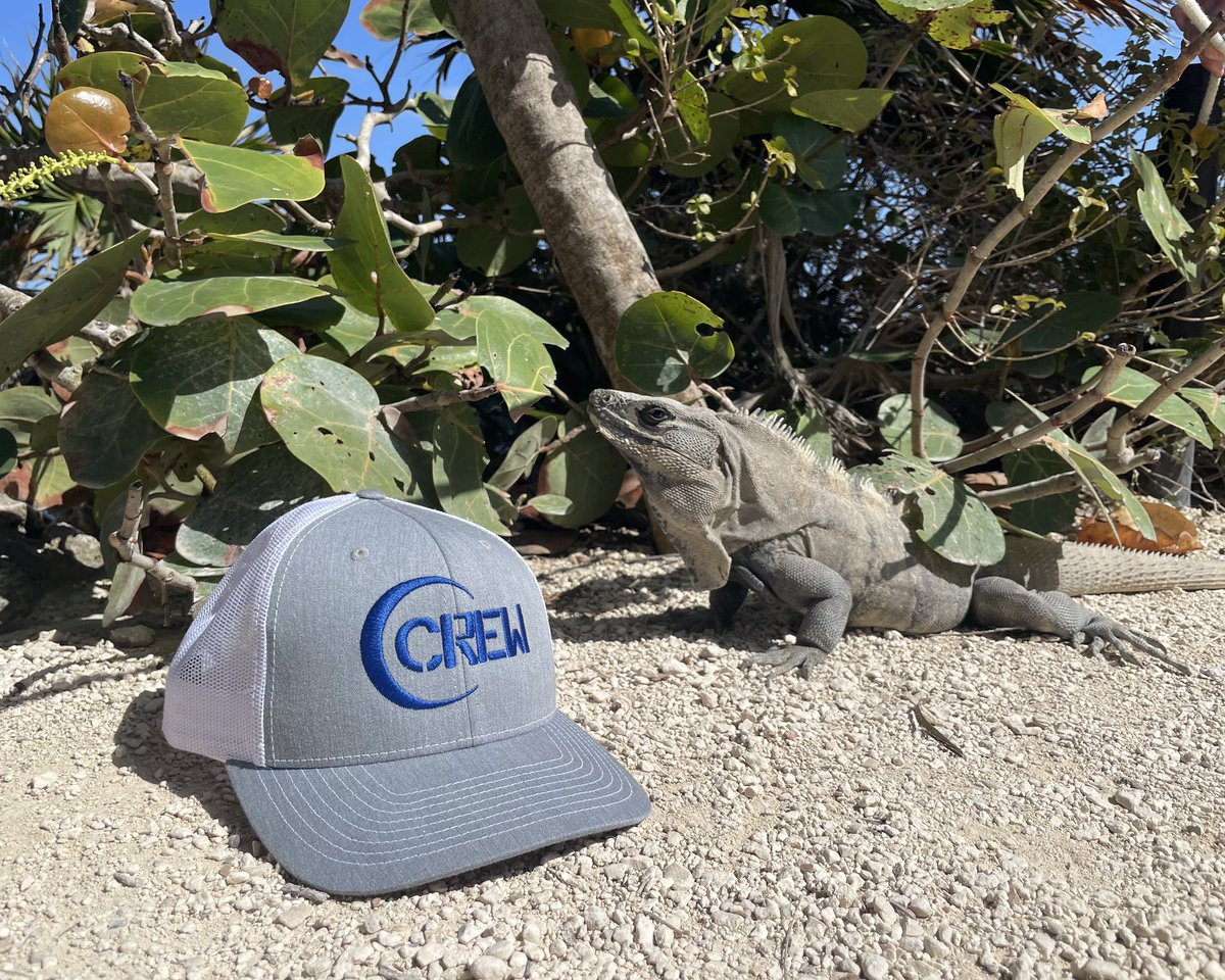 Do you own a cheetah that’s wearing this hat? 👀