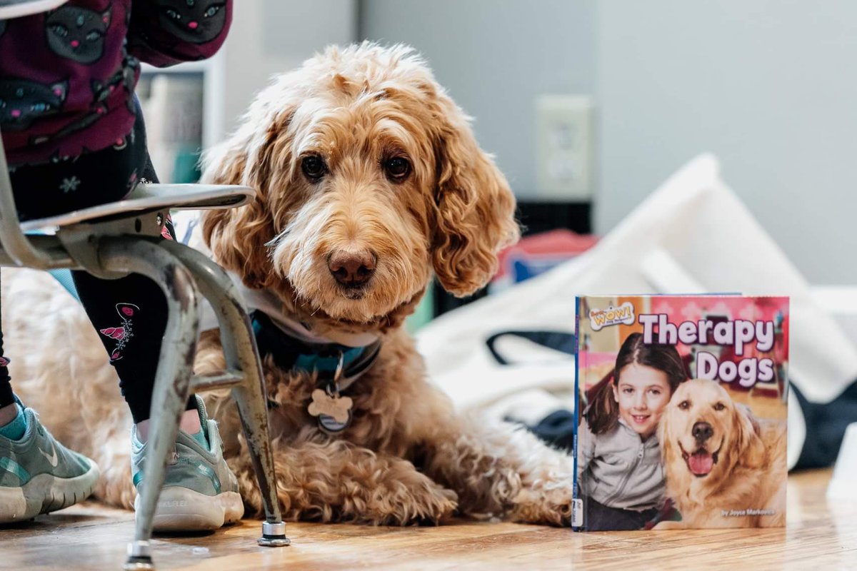 pawsandthinkinc's tweet photo. Happy #NationalPetDay from Paws &amp; Think! 

Our therapy dogs do a great service, but their first and primary job is be a loving (and sometime spoiled) member of their own families 💙 

#PawsAndThink #TherapyDogs #familypets https://t.co/c33ERuMKcT