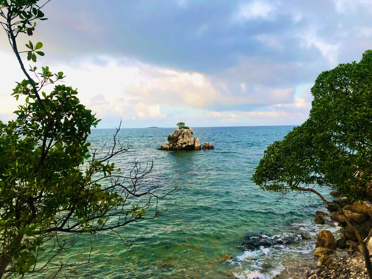 Quand je lâche prise, je trouve la vie🕊