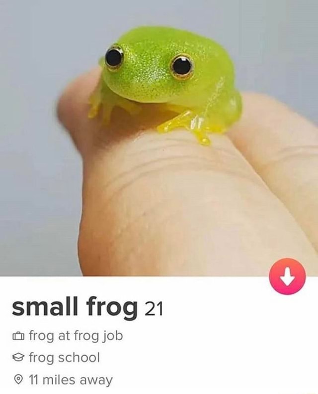 WholesomeMeme's tweet photo. https://t.co/7kXqfAygXL
