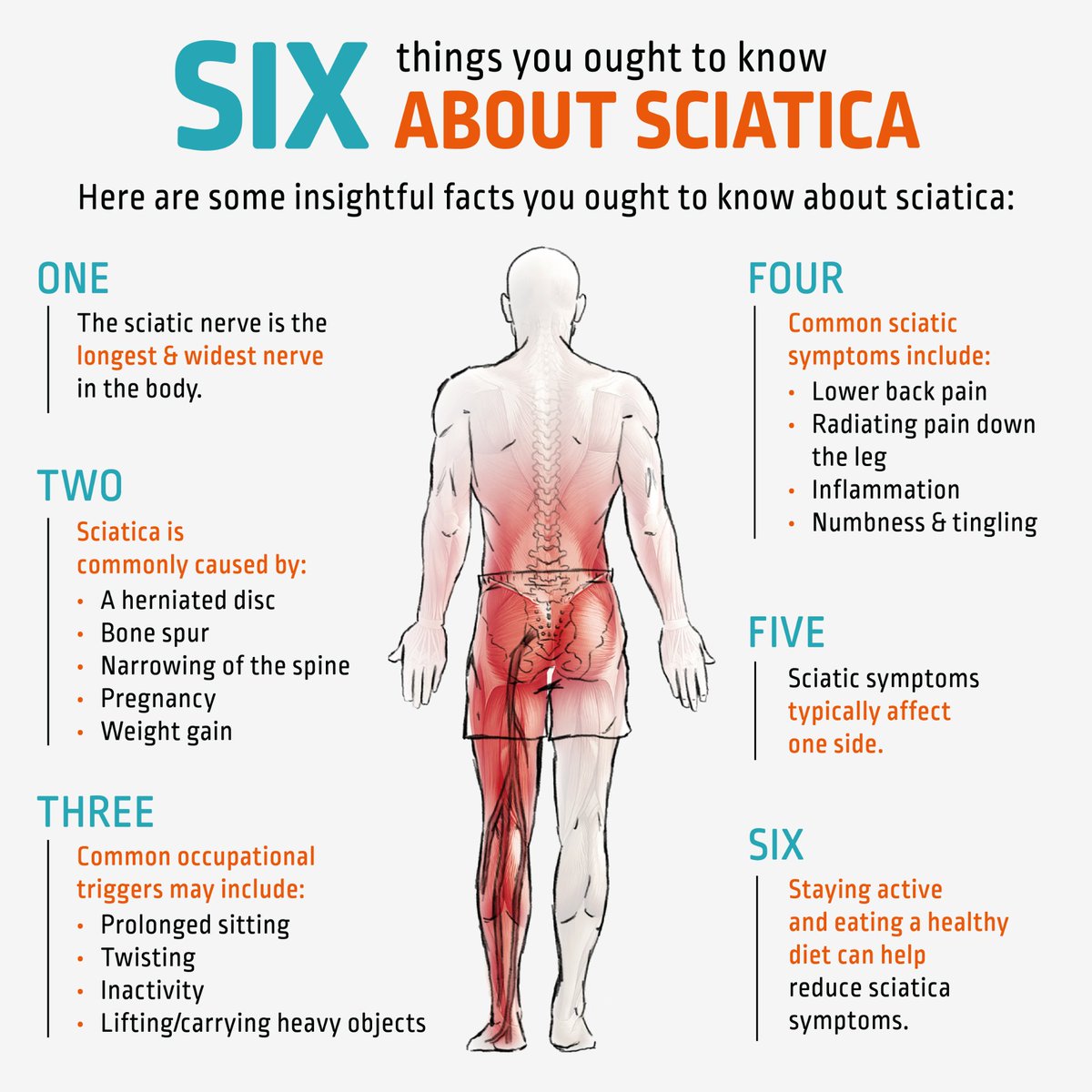 ANFTherapy's tweet image. Six Things You Ought To Know About Sciatica: Here are some insightful facts you ought to know about sciatica.
.
.
.
.
.
#sciatica #anftherapy #sciaticnerve #nervepain #inflammation