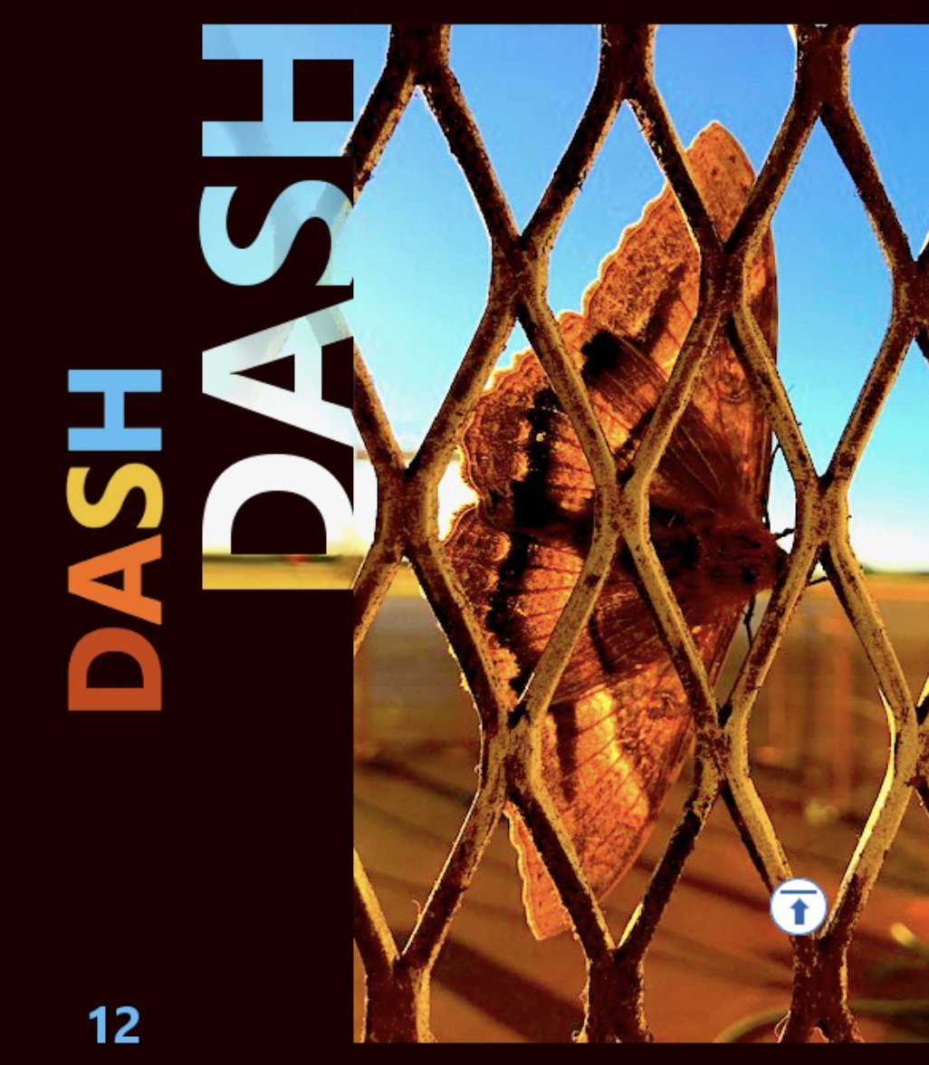 thaisderich's tweet photo. @dashliteraryjournal has accepted my story, "San Francisco's Cement Eating Mushrooms," for publication in Dash vol 15. Opportunities to read the journal will be forthcoming in late May. I will post the information here. So grateful! Many thanks to Dash's editor and student staff. https://t.co/9GKqxta2rM