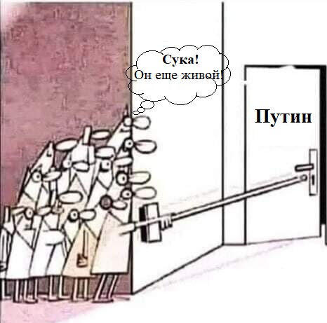 WhiteWay_KG tweet media