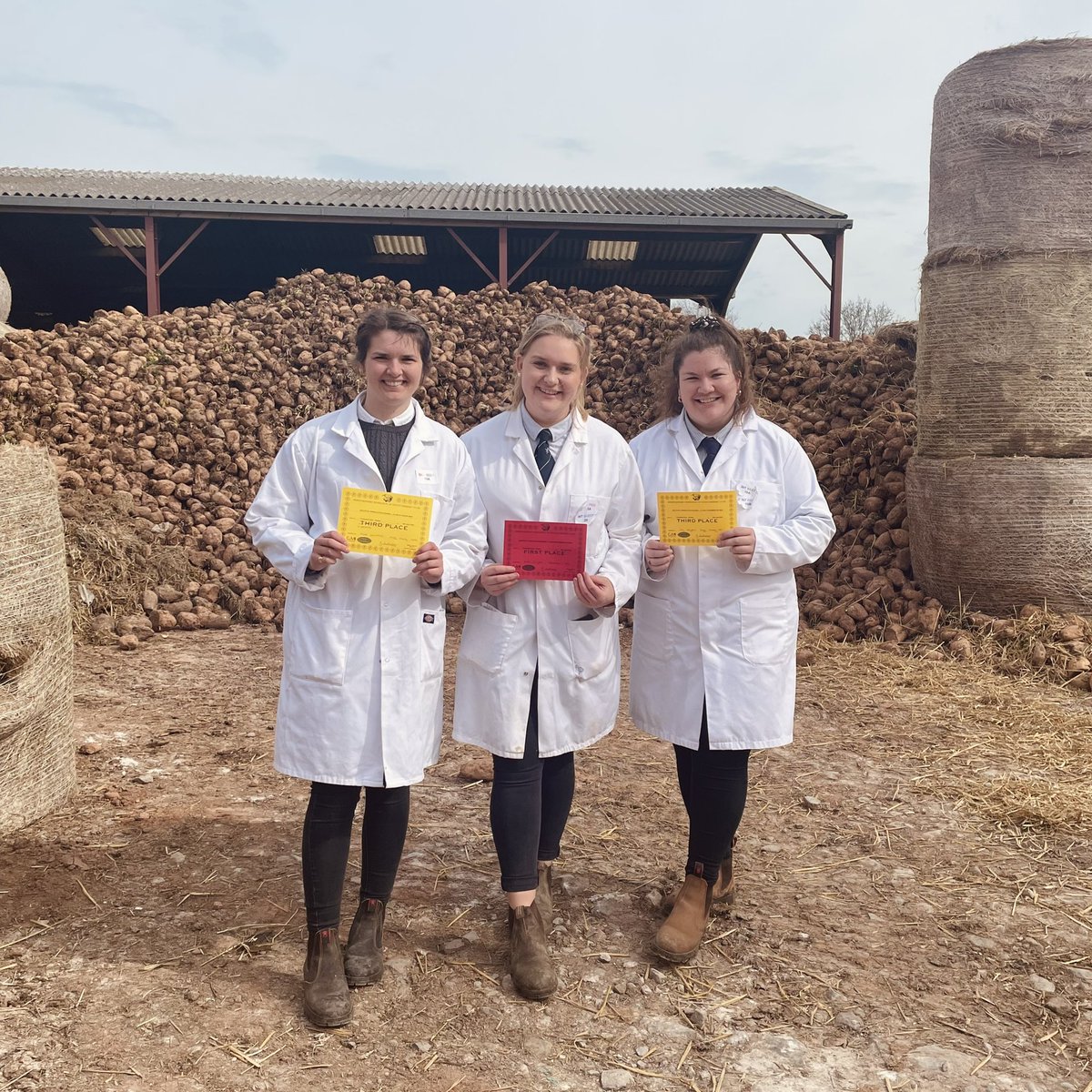 Great to be out yesterday competing in my favourite YFC competition stock judging, after two long years. Cherry on the cake to take home a prize card!🤩 #YFC #Stockjudging