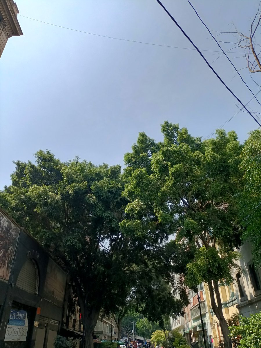 Glyaxz's tweet photo. Primer día en Ciudad de México, simplemente no me creo que esté aquí.

Subo aquí las fotos que en Instagram pierden calidad https://t.co/lTNOlgsA88