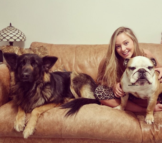 it's #NationalPetDay 🐶🐕❤ https://t.co/4fMoQroI4D<a href="/tag/nationalpetday"class="tags">#NationalPetDay</a>