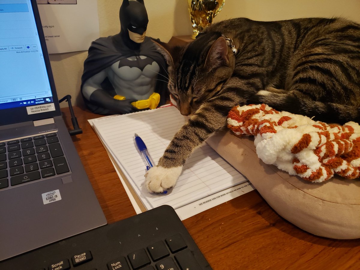Davidlaz's tweet photo. Cub reporter https://t.co/wfStP68ZKr