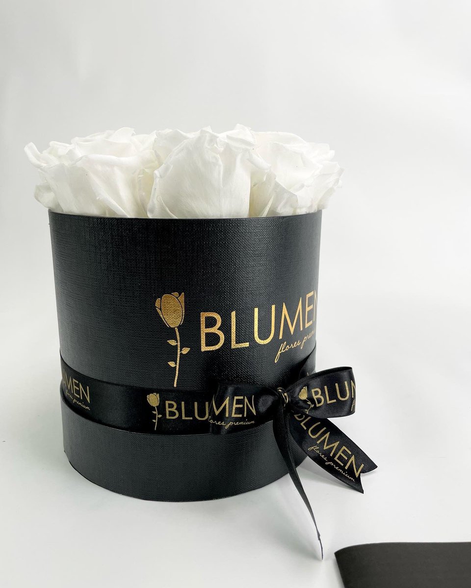blumenecuador's tweet photo. Las rosas blancas siempre son un hermoso detalle y en BLUMEN ¡son preservadas! ✨, así que en tu próximo compromiso regala un bello #BLUMENbox 🌹 .
.
Visítanos en las redes sociales 📱, pide el catálogo y haz tu pedido 🤩 .
.
#florespreservadas #rosaspreservadas #flores #rosas https://t.co/v2I42WDuuo