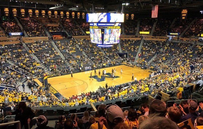 Zayden High tweet media