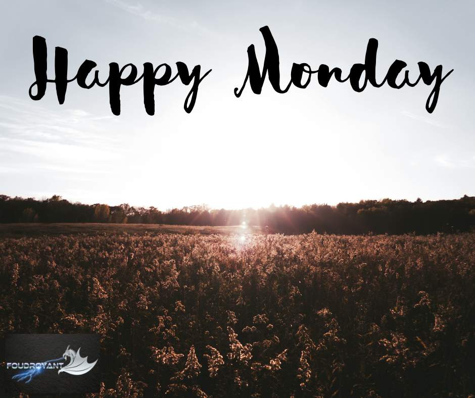 FoudroyantLLC's tweet photo. Monday’s are full of endless possibilities. Keeping a bright attitude sheds light on them. Happy Monday! #Mondayperspective #bethelight #positive https://t.co/bHYz59ad2Z