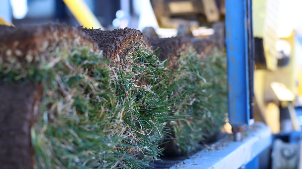 Opening Day here at SODCO was a success! Our grass looks BEAUTIFUL and our team is excited to be back in action. Place your order today! Great products, better people. That's the SODCO difference!  
---------&gt; sodco.net #NewEnglandsFinestSod