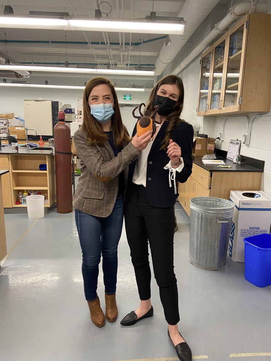 nicofaraone's tweet photo. Big congratulations to my fabulous and talented honours student @laura_pickett7 to have successful defended her thesis! I am so proud of you!  @AcadiaChemistry @acadiaresearch https://t.co/6xmgMLdfJ9