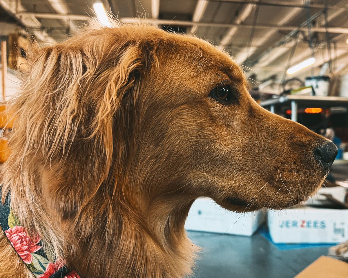 Huge Brands tweet media