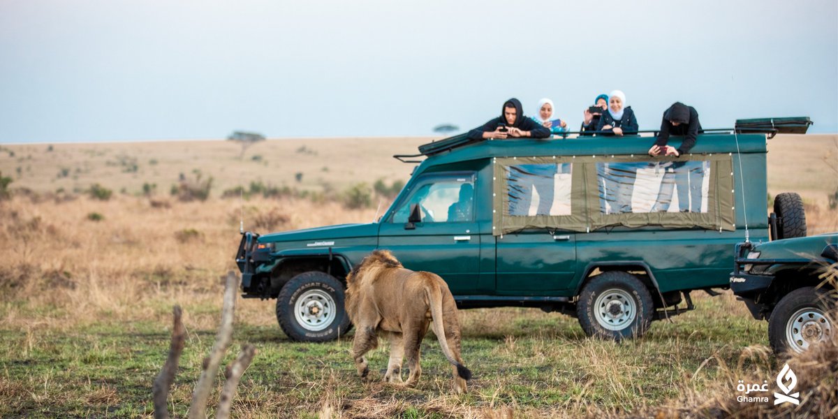 Ghamra_sa's tweet photo. Are you a National Geographic enthusiast who spends hours in front of the TV watching lionesses plot their attack on a herd of zebras? 
Join our next adventure 
contact us: +966 55 501 9341
#موسم_جدة #JeddahSeason  #VisitSaudi #SaudiEvents #RiyadhSeason #ghamra #burst_with_joy https://t.co/90bnWESWq2