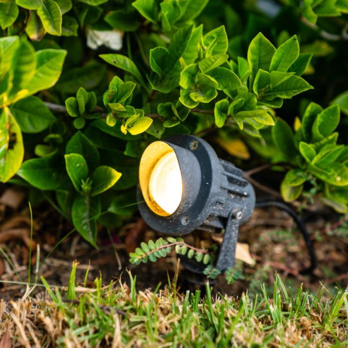 GotLights_tx's tweet photo. April is Lawn and Garden Month! We're here to take away the stress of designing and installing landscape and architectural lighting in your home. Call us today to begin your project: (512) 394-1990. #LandscapeLighting https://t.co/WcB6xhQVN7