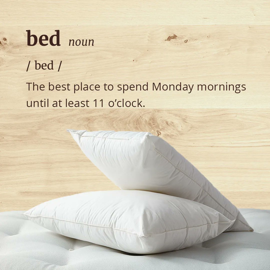 getlaidbeds's tweet photo. We fixed the definition of bed...

#monday #mondaymotivation #mondaymood #mondayvibes #mondaymorning https://t.co/sx7iQ6ryvM