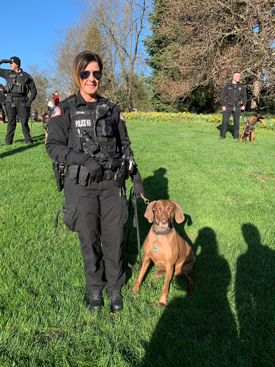 UCPublicSafety's tweet photo. Another great 5K this year in remembrance of Matt Haverkamp and in celebration of the work that Matt Haverkamp Foundation has done in the local community. This year, Matt's 5K Pursuit included recognition for K-9 #Dozer, who retired in the fall ❤️ https://t.co/gpHjSj2s8U