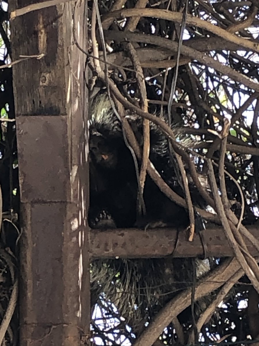 Dr. Krista Bonfantine 💧🔥 tweet media