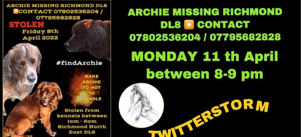 HumphriesRita's tweet photo. #findArchie #stolen 8/4/2022 #Richmond #DL8 area. Taken from his kennel betweem 1am and 6am #MakeTooHotToHandle #share #tweet help get Archie home @PeterEgan6 @rickygervais @realmartinkemp @shirleykemp33 @RealPOGDogs https://t.co/feqDtZLy6a