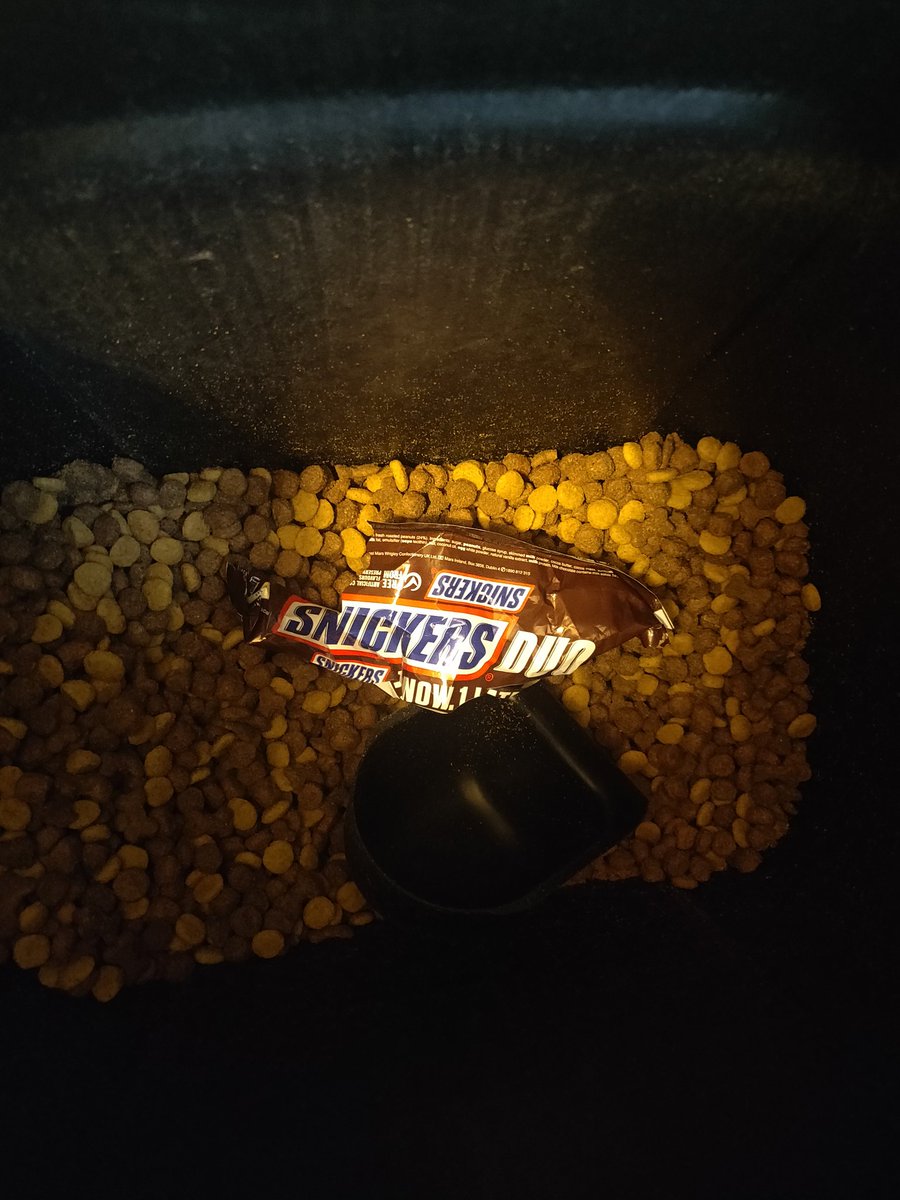 GuyandDore's tweet photo. When @MrDore_ thinks the dog food storage container is the kitchen bin. As @SNICKERSUK advertisments say 'You're Not You When You're Hungry'. #OfficiallyAwkward #DoreOnTour #Snickers https://t.co/ZQnYMtnhc5