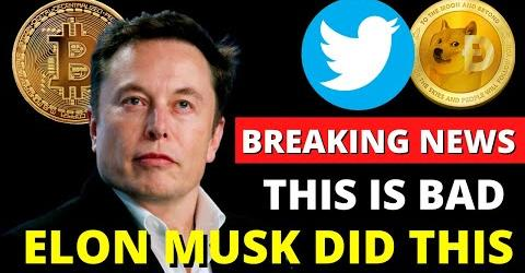 Ting tweet media