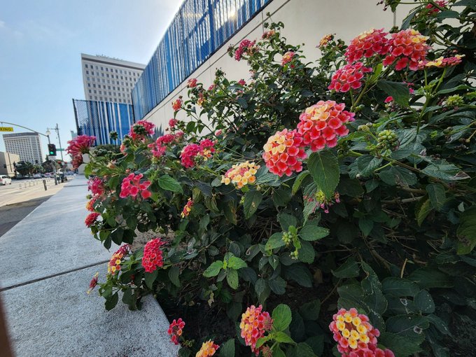 4 pic. Went to LA and took some photos!! Had such a great day I miss the city life!!! https://t.co/9