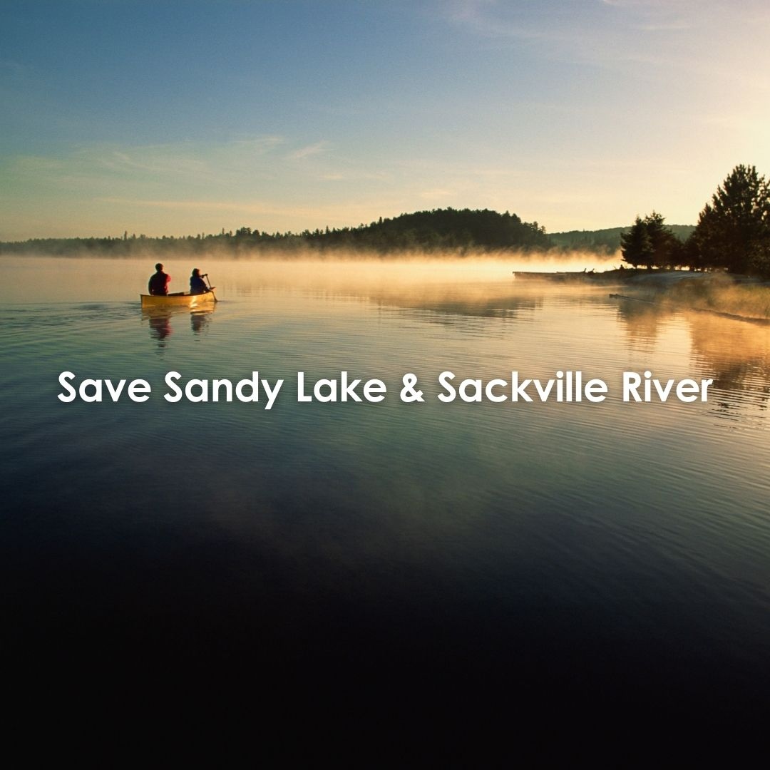 EcologyAction's tweet photo. We need your help to save Sandy Lake and the Sackville River! β
β
Go to https://t.co/8qukWTQKeG to take action now to save this unique and critical piece of wilderness.
β
#NSpoli #Wilderness #SaveSandyLake #SackvilleRiver #NovaScotia #HalifaxNoise https://t.co/Z3Q0QH0jfa
