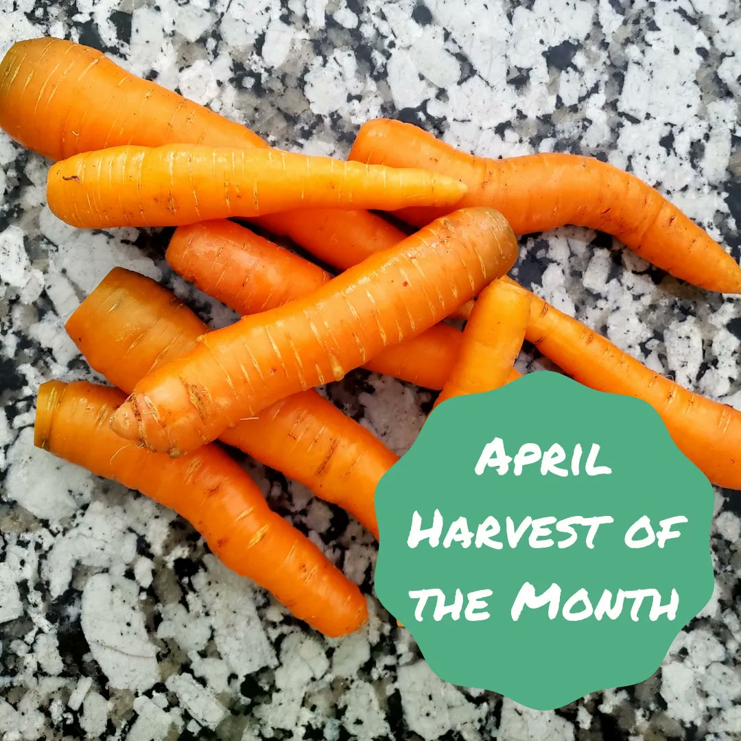 Food Connects tweet media