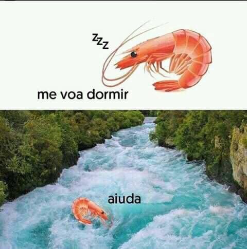 RicciuP's tweet photo. @BajaAlcurnia Es muy tonto, pero llevo años riéndome. https://t.co/WRxGms6Bjj
