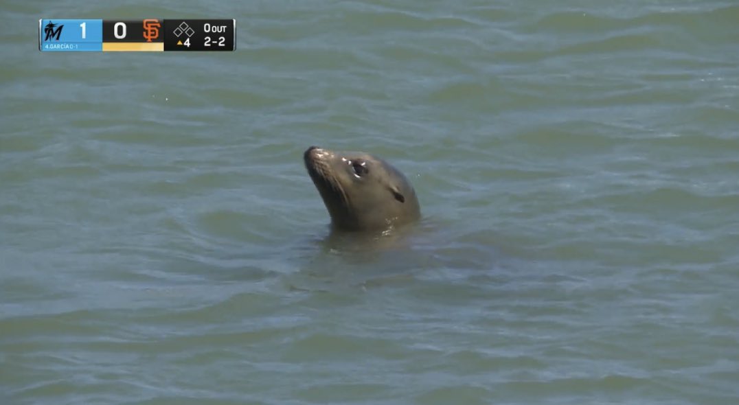 out of context baseball (@baseballcontext) on Twitter photo 