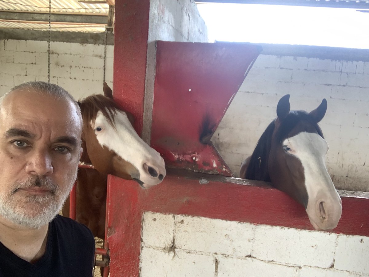 alezf's tweet photo. Cuando te invitan a El Carmen NL … #nimodo #CuadraLaHerradora #carnitasada #salsaBorracha https://t.co/1DyasGVXbI