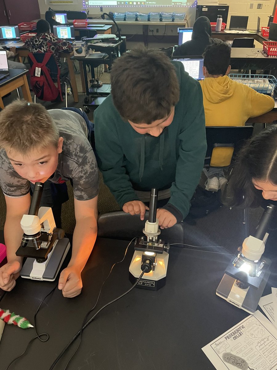 Students are learning about prokaryotic and eukaryotic cells by looking through a microscope! #gameon <a href="/CryarCISD/">Cryar Intermediate, Conroe ISD</a>