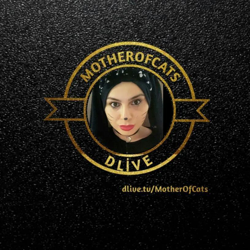 asiyecats's tweet photo. #YeniProfilResmi https://t.co/skQiH9ivcf