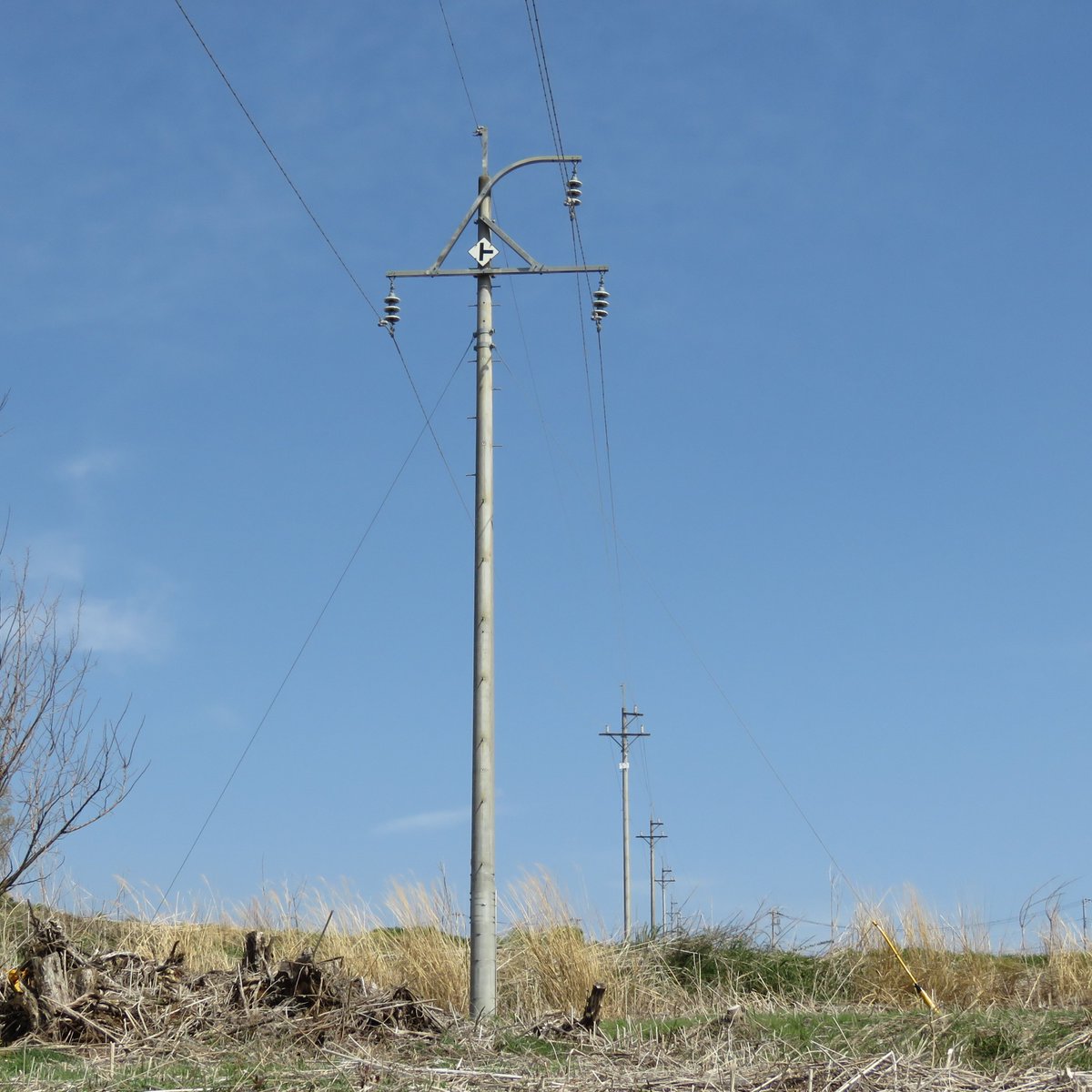 東京電力 #コン柱 #電柱 #送電線 #電柱送電線 #癒しの1回線 #電柱写真クラブ #電線 #いい電線 #電柱のある風景 22kV 浅尾線No.49  #すずらん柱
