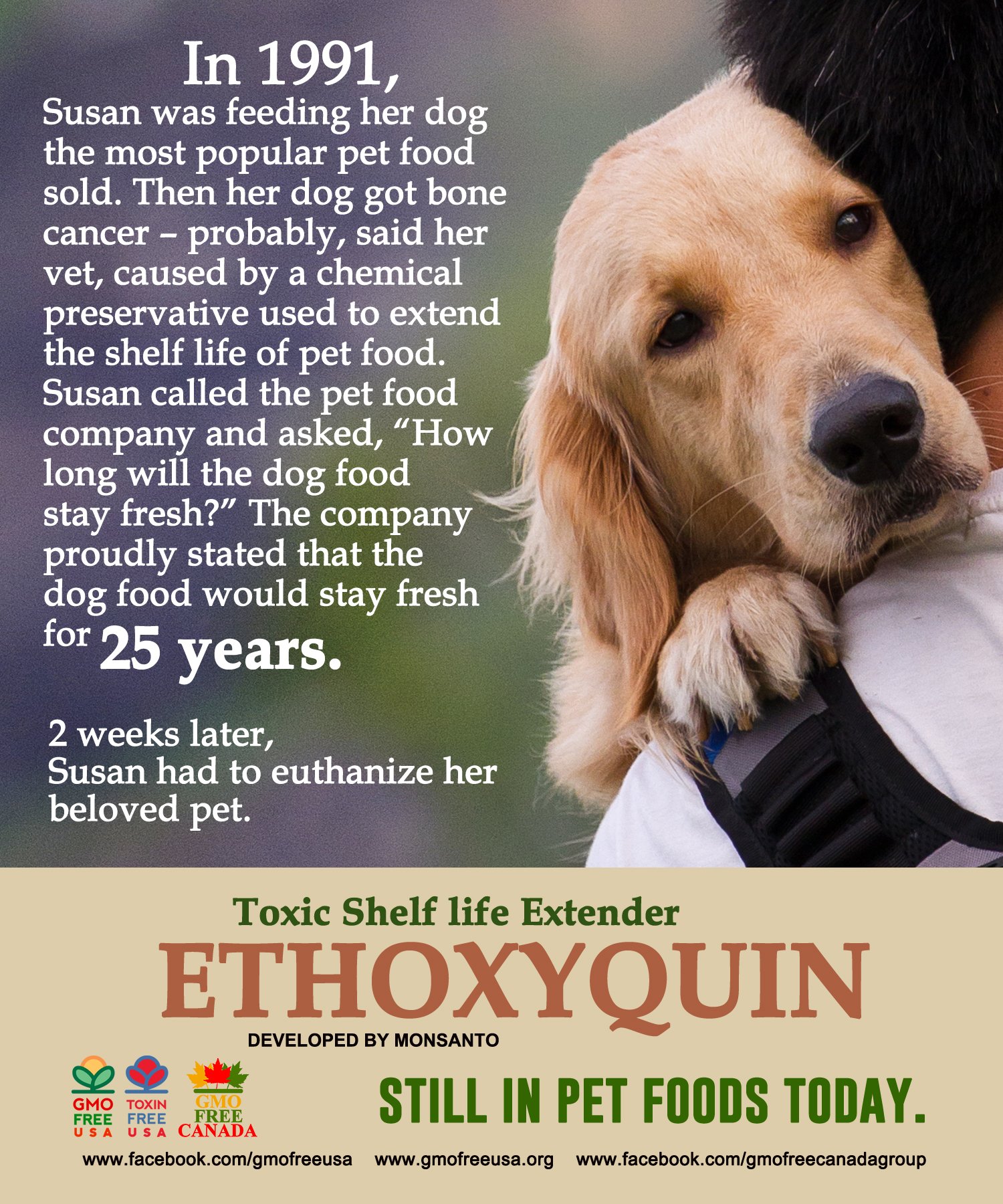 Is Canidae Dog Food Gmo Free